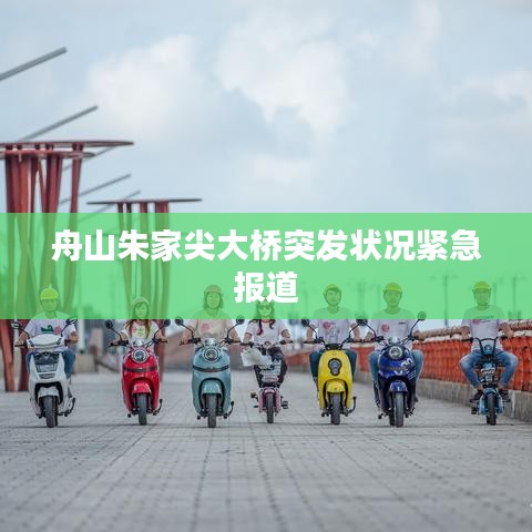 斫琱为朴 第6页