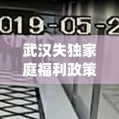 武汉失独家庭福利政策解读，全方位关怀与支持