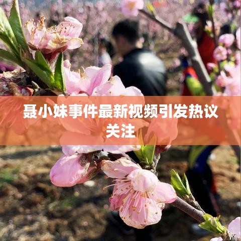 聂小妹事件最新视频引发热议关注