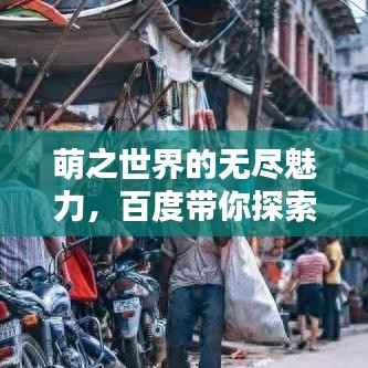 萌之世界的无尽魅力，百度带你探索萌文化