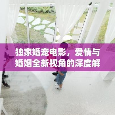 独家婚宠电影，爱情与婚姻全新视角的深度解读