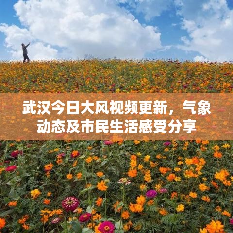 武汉今日大风视频更新,气象动态及市民生活感受分享