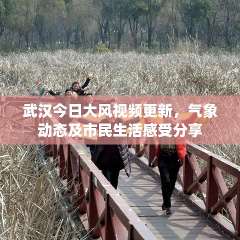 武汉今日大风视频更新,气象动态及市民生活感受分享