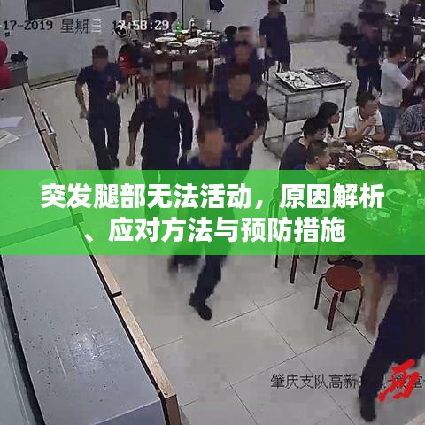 突发腿部无法活动，原因解析、应对方法与预防措施