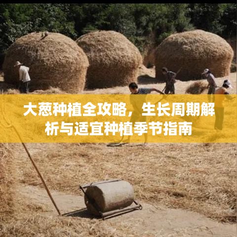 计日程功 第7页