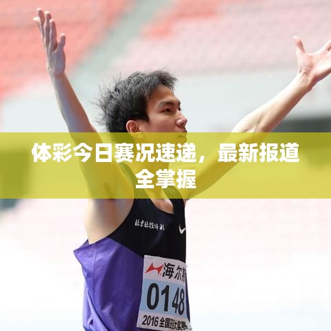 体彩今日赛况速递，最新报道全掌握