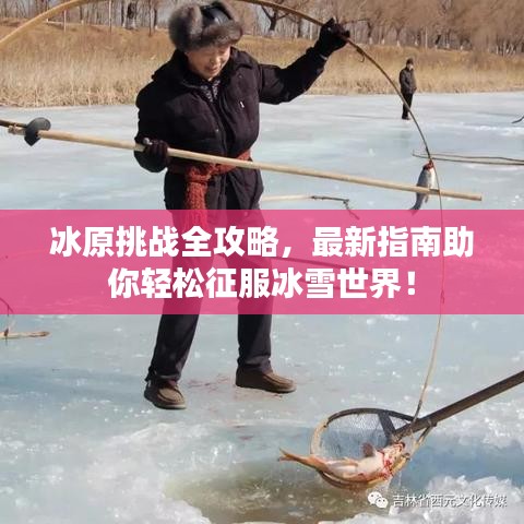 冰原挑战全攻略，最新指南助你轻松征服冰雪世界！