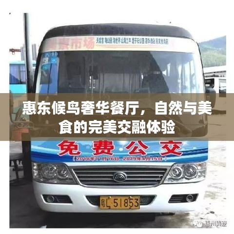 惠东候鸟奢华餐厅,自然与美食的完美交融体验