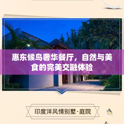 惠东候鸟奢华餐厅,自然与美食的完美交融体验