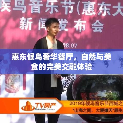 惠东候鸟奢华餐厅,自然与美食的完美交融体验