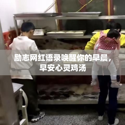 励志网红语录唤醒你的早晨,早安心灵鸡汤