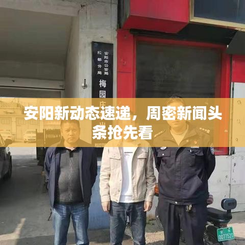 安阳新动态速递，周密新闻头条抢先看