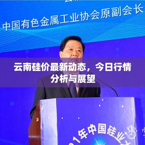 云南硅价最新动态,今日行情分析与展望