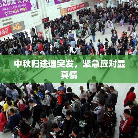 中秋归途遇突发,紧急应对显真情