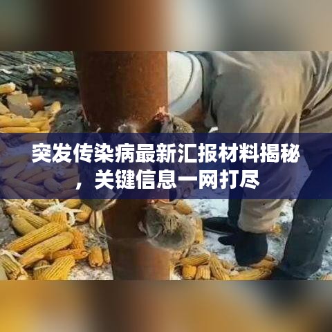 突发传染病最新汇报材料揭秘，关键信息一网打尽