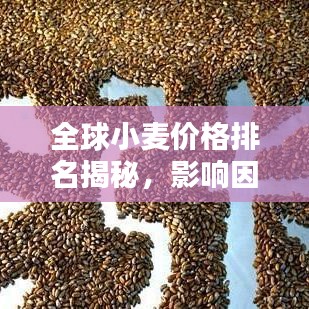 全球小麦价格排名揭秘,影响因素大盘点!