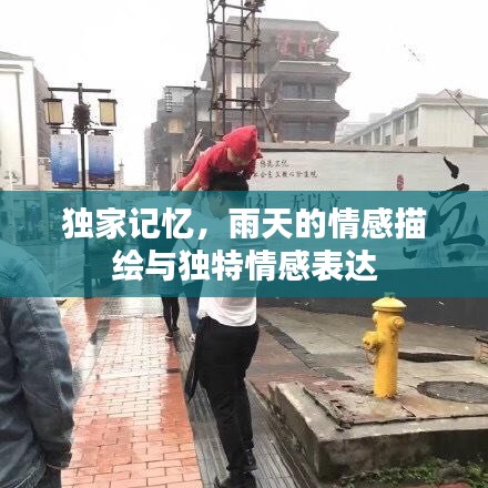 独家记忆,雨天的情感描绘与独特情感表达