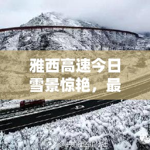 雅西高速今日雪景惊艳，最新报道抢先看