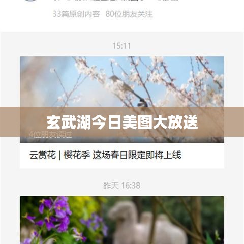 玄武湖今日美图大放送