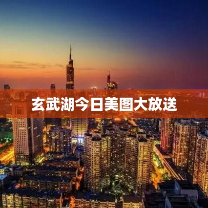 玄武湖今日美图大放送