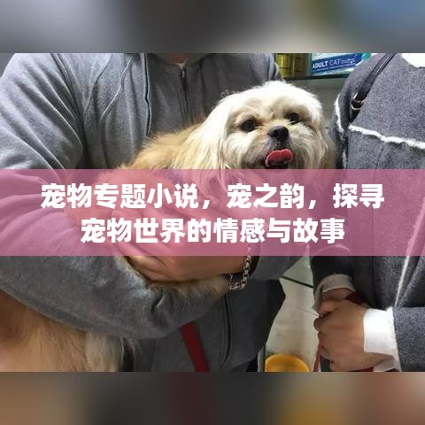 宠物专题小说，宠之韵，探寻宠物世界的情感与故事