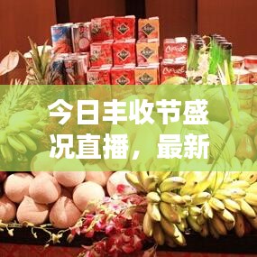 今日丰收节盛况直播,最新消息一网打尽
