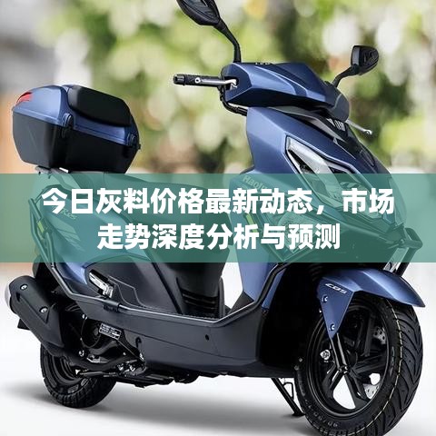 今日灰料价格最新动态，市场走势深度分析与预测