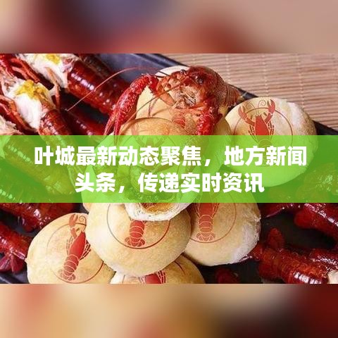 叶城最新动态聚焦，地方新闻头条，传递实时资讯