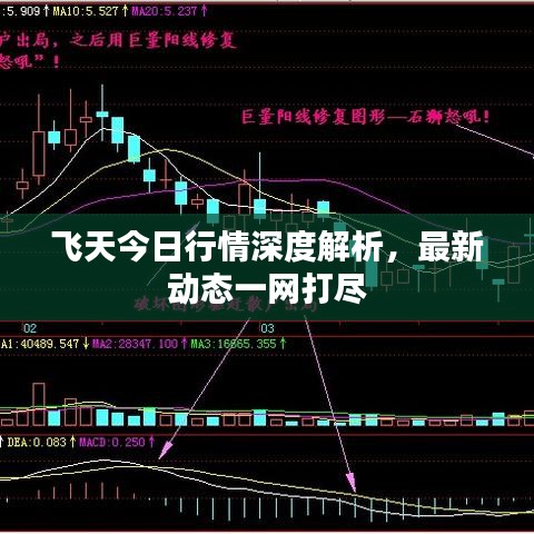 飞天今日行情深度解析，最新动态一网打尽