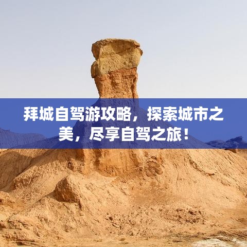 酷音铃声官方下载跟明星三缺一2005单机版,可靠评估说明_影像版_v3.644