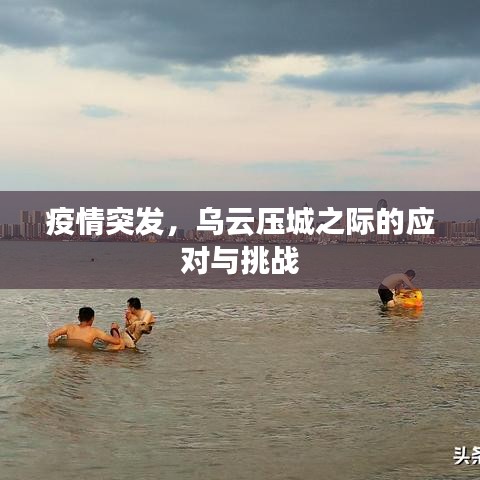 疫情突发,乌云压城之际的应对与挑战