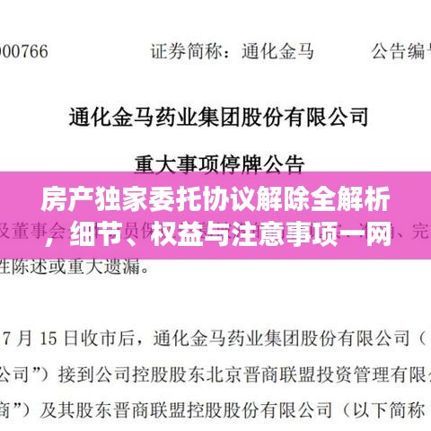 房产独家委托协议解除全解析,细节、权益与注意事项一网打尽