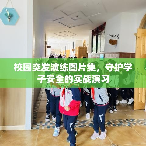 校园突发演练图片集,守护学子安全的实战演习
