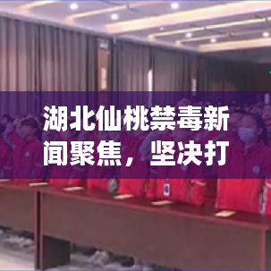 湖北仙桃禁毒新闻聚焦，坚决打赢禁毒人民战争