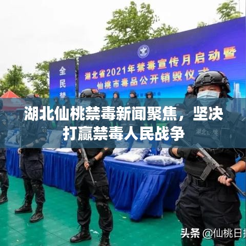 湖北仙桃禁毒新闻聚焦,坚决打赢禁毒人民战争