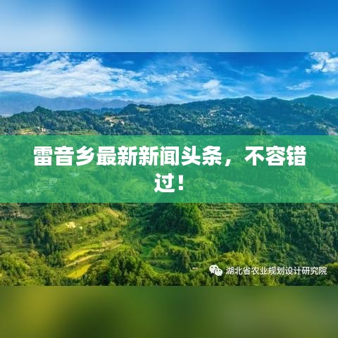 雷音乡最新新闻头条，不容错过！