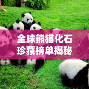 全球熊猫化石珍藏榜单揭秘，探寻珍稀化石宝藏