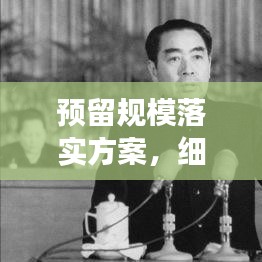 预留规模落实方案，细节揭秘，助力高效执行！