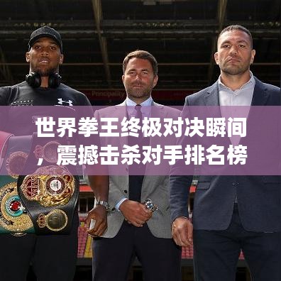 世界拳王终极对决瞬间，震撼击杀对手排名榜单揭晓！