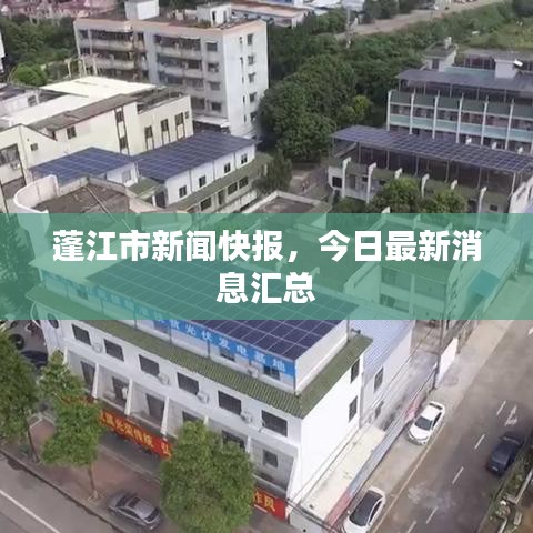 蓬江市新闻快报，今日最新消息汇总