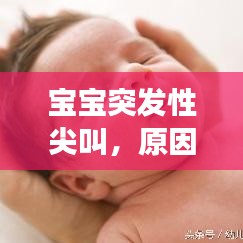宝宝突发性尖叫，原因解析、应对策略与家长的关注重点（全面解析）