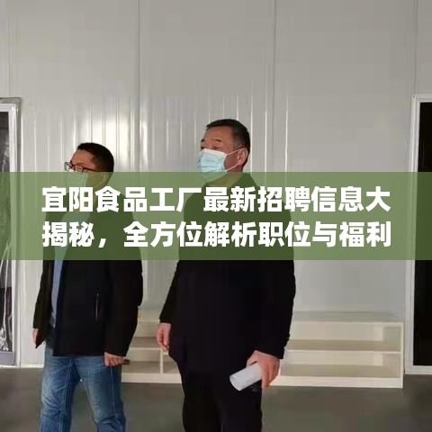 宜阳食品工厂最新招聘信息大揭秘,全方位解析职位与福利!