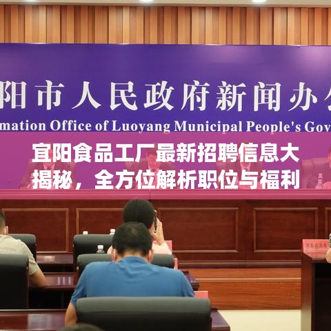 宜阳食品工厂最新招聘信息大揭秘,全方位解析职位与福利!
