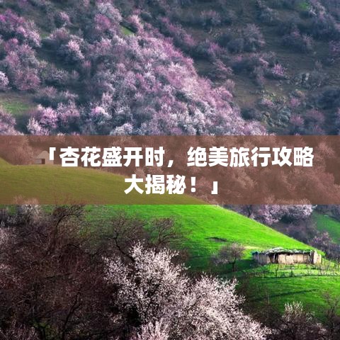 「杏花盛开时，绝美旅行攻略大揭秘！」