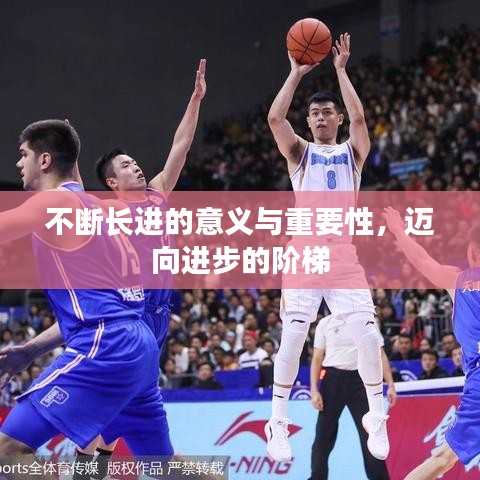 不断长进的意义与重要性,迈向进步的阶梯