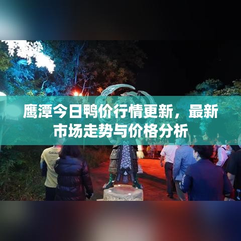 鹰潭今日鸭价行情更新,最新市场走势与价格分析