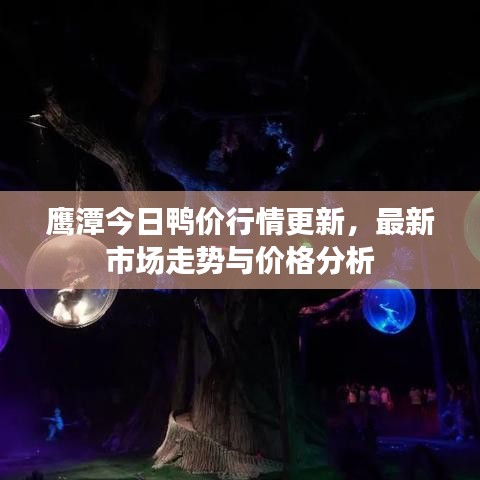 鹰潭今日鸭价行情更新,最新市场走势与价格分析