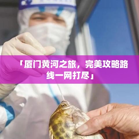 「厦门黄河之旅,完美攻略路线一网打尽」