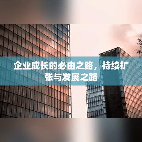 企业成长的必由之路,持续扩张与发展之路