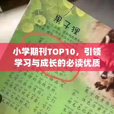小学期刊TOP10，引领学习与成长的必读优质读物